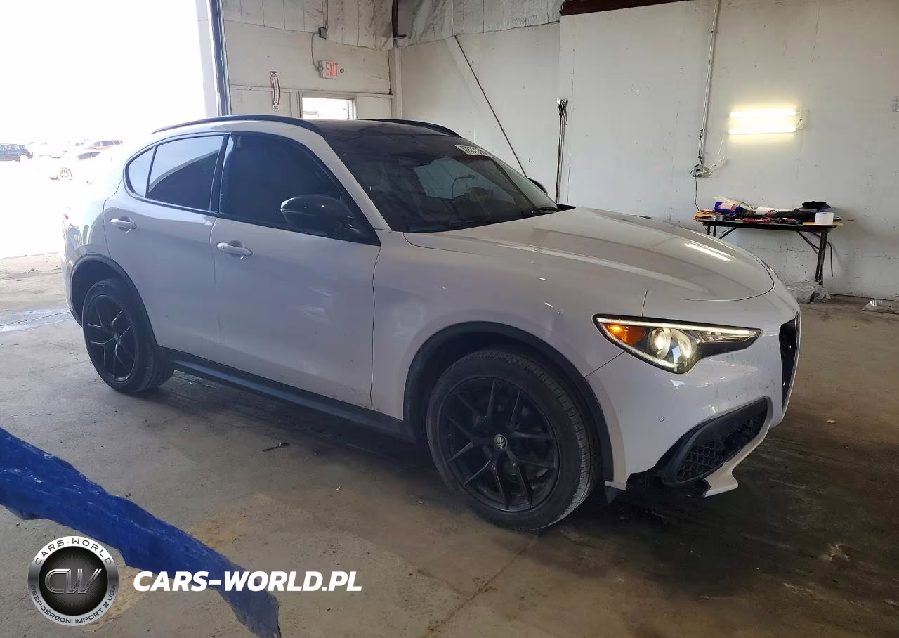 2019 Alfa Romeo Stelvio VIN:ZASPAKAN7K7C67820 - 4