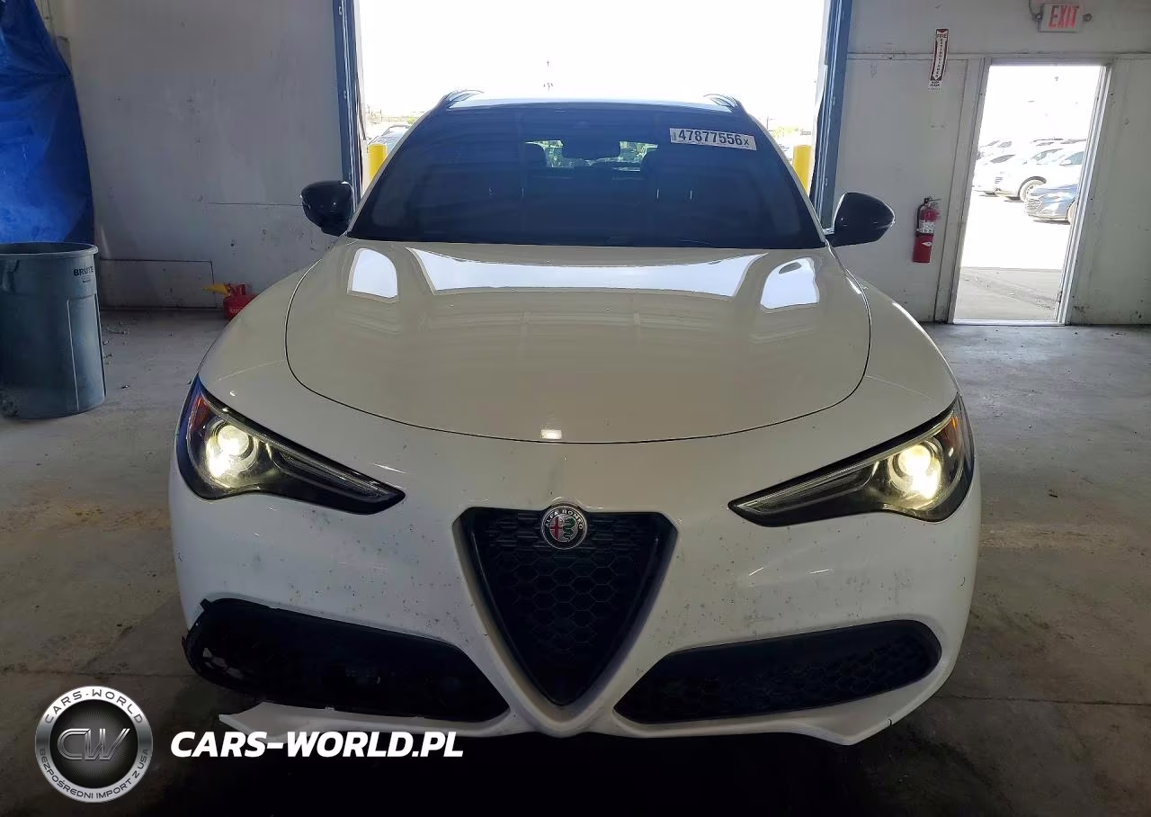 2019 Alfa Romeo Stelvio VIN:ZASPAKAN7K7C67820 - 5