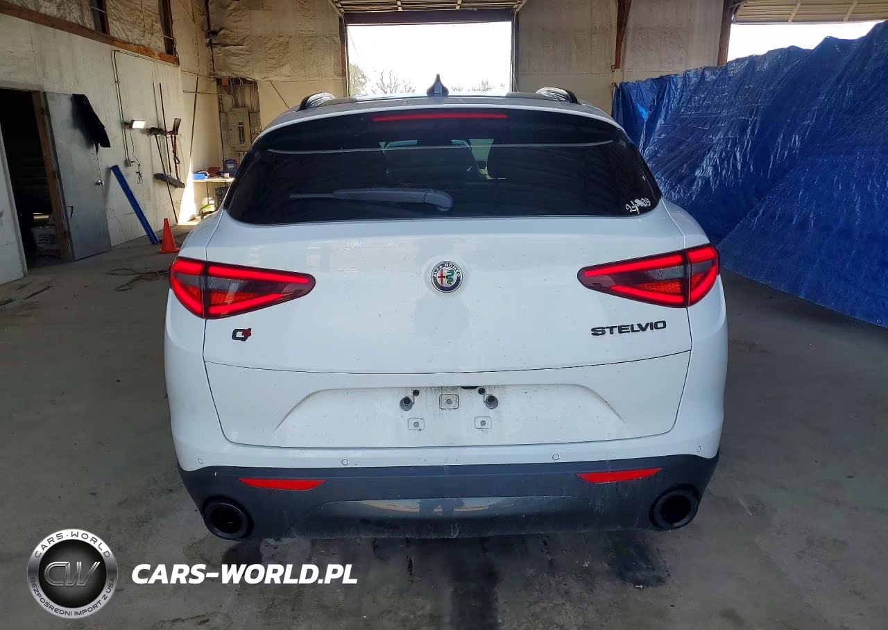2019 Alfa Romeo Stelvio VIN:ZASPAKAN7K7C67820 - 6