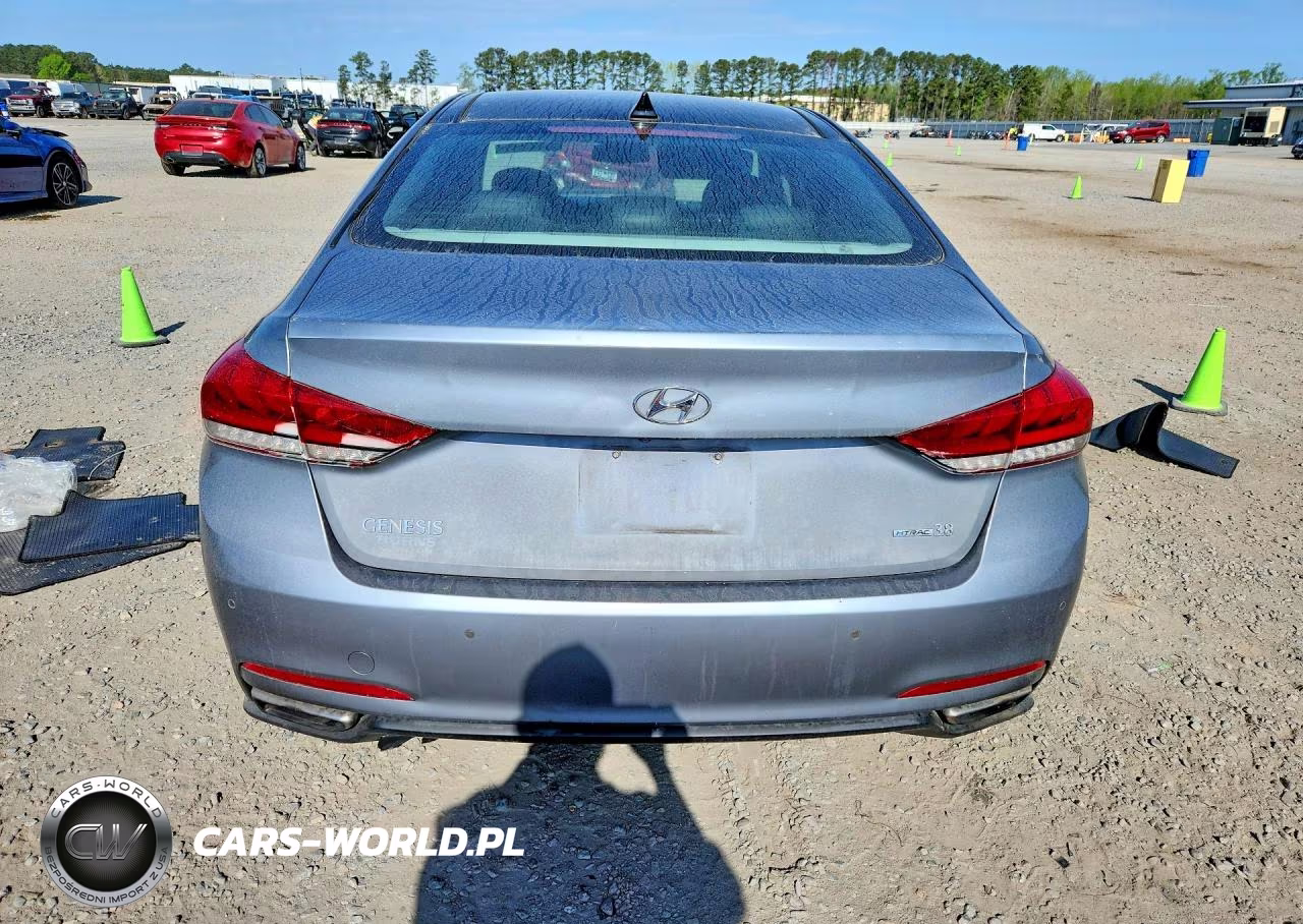 2015 Hyundai Genesis 3.8L VIN:KMHGN4JE8FU070568 - 6