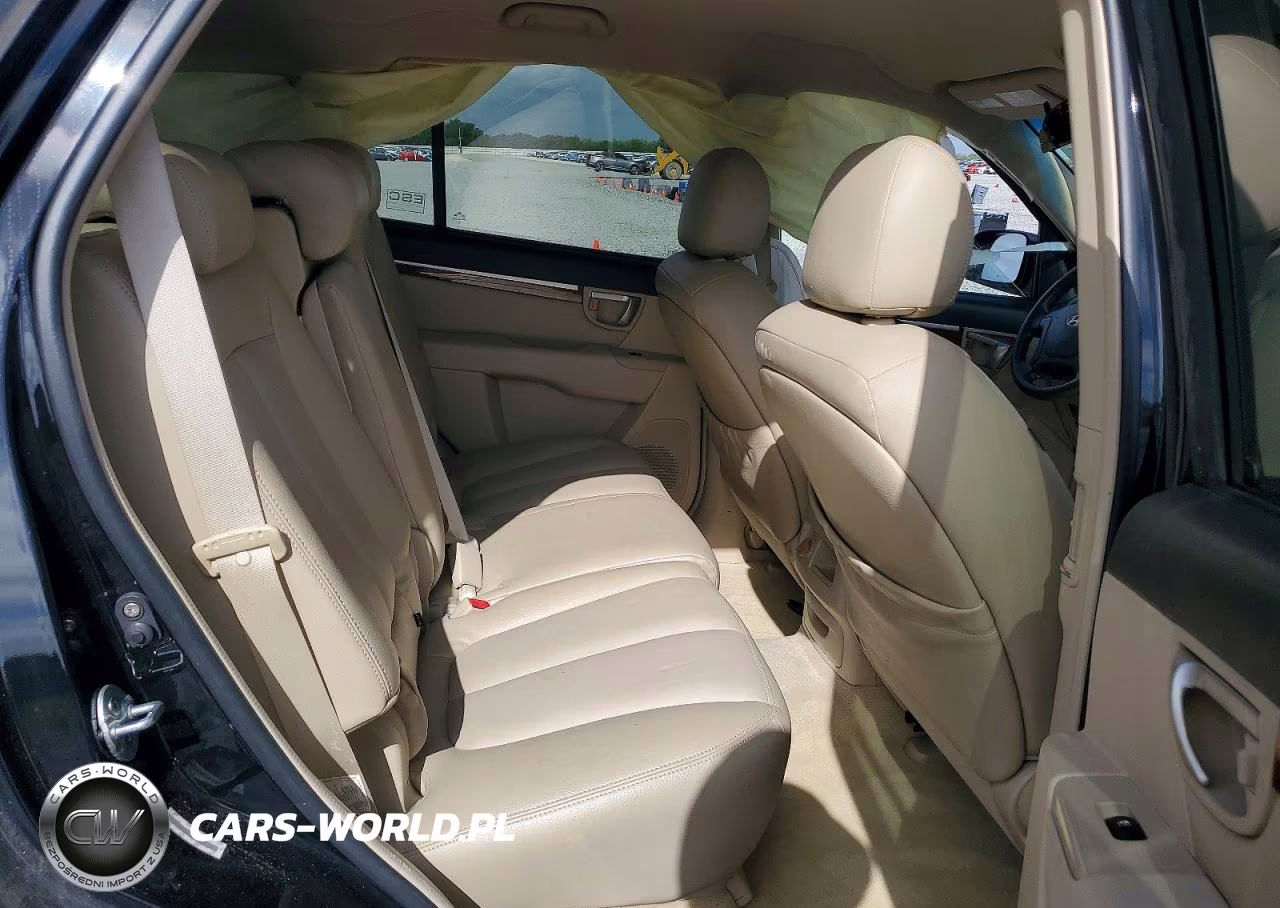 2009 Hyundai Santa Fe Gls VIN:5NMSG13D39H269566 - 10
