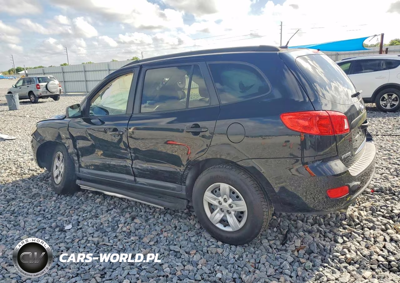 2009 Hyundai Santa Fe Gls VIN:5NMSG13D39H269566 - 2