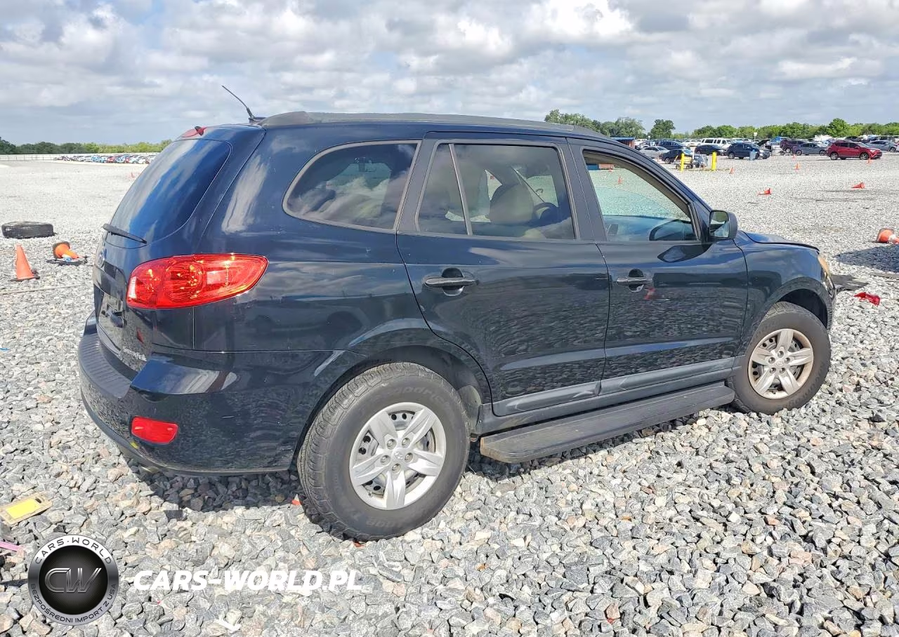 2009 Hyundai Santa Fe Gls VIN:5NMSG13D39H269566 - 3