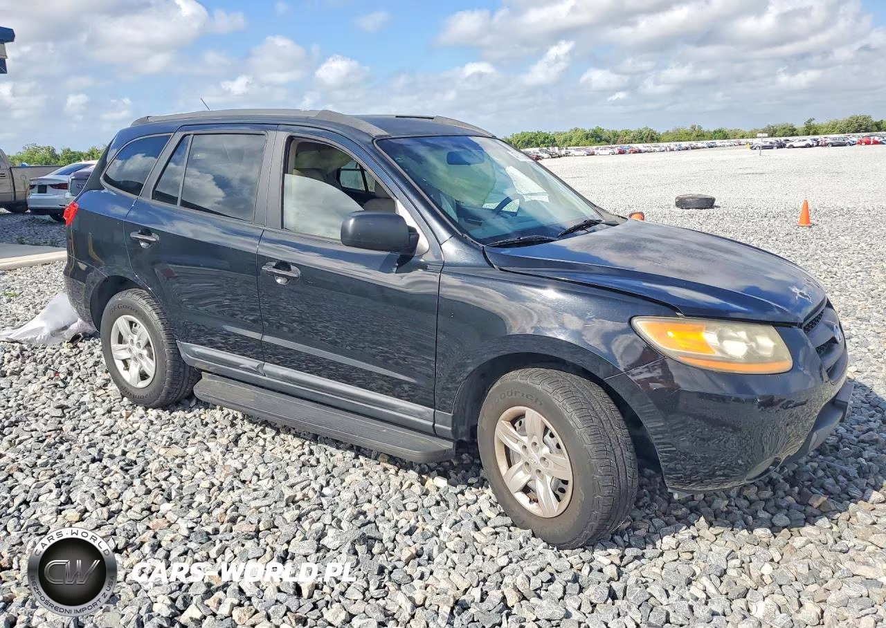 2009 Hyundai Santa Fe Gls VIN:5NMSG13D39H269566 - 4