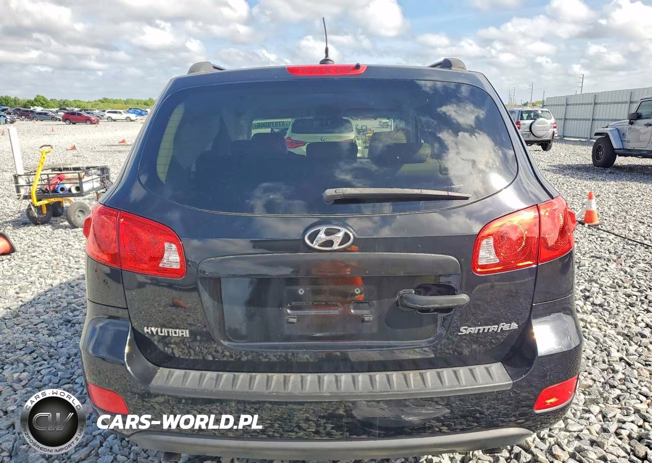 2009 Hyundai Santa Fe Gls VIN:5NMSG13D39H269566 - 6