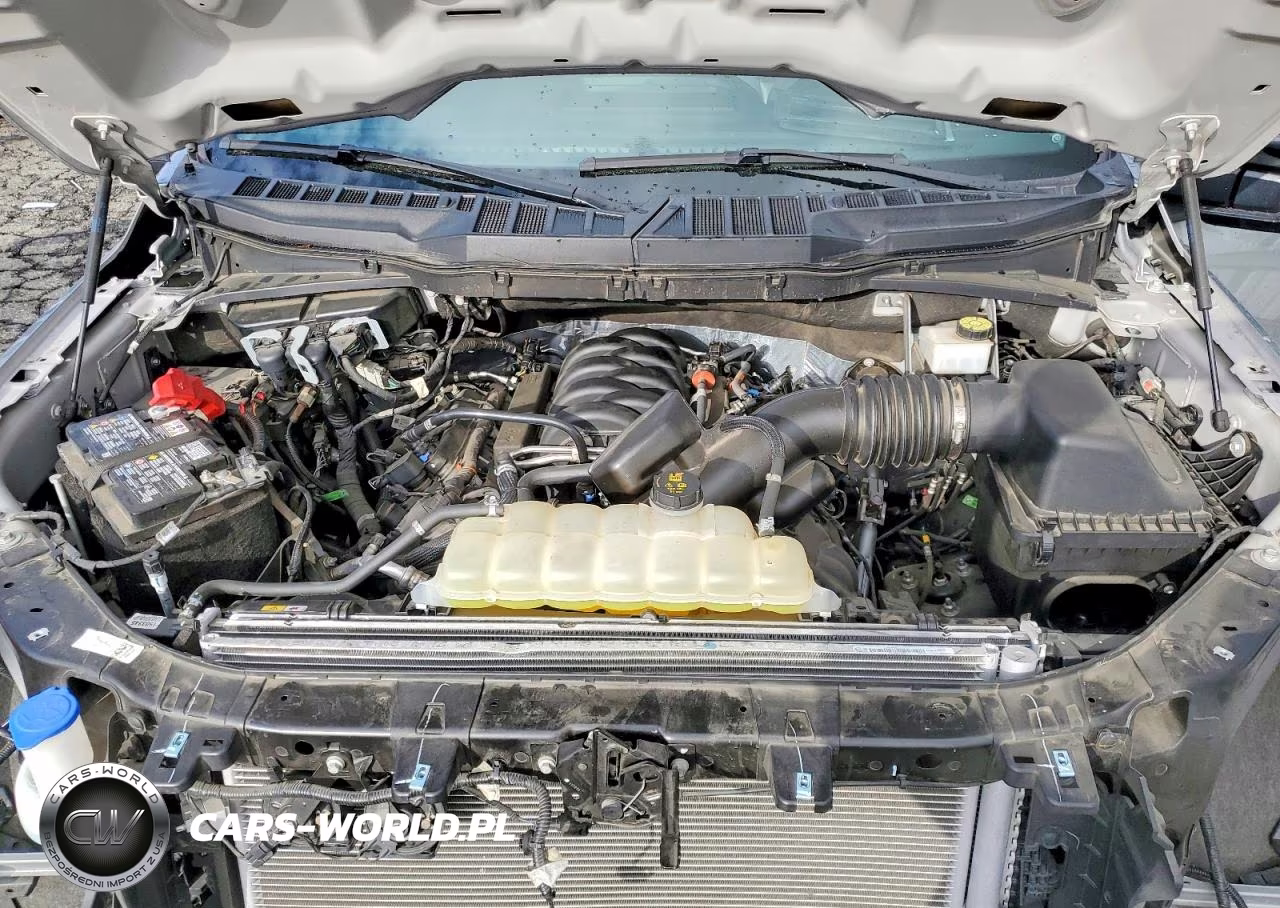 2024 Ford F150 Xl VIN:1FTMF1L5XRKE18600 - 11