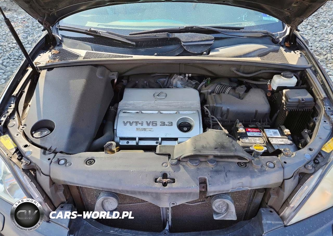 2004 Lexus Rx 330 Base VIN:2T2HA31U94C032410 - 12