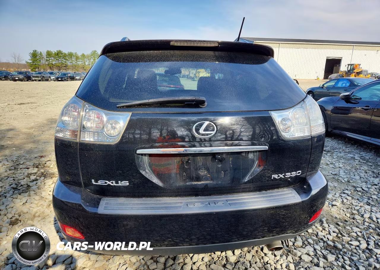 2004 Lexus Rx 330 Base VIN:2T2HA31U94C032410 - 6