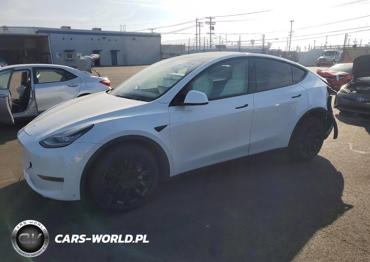 2020 Tesla Model Y