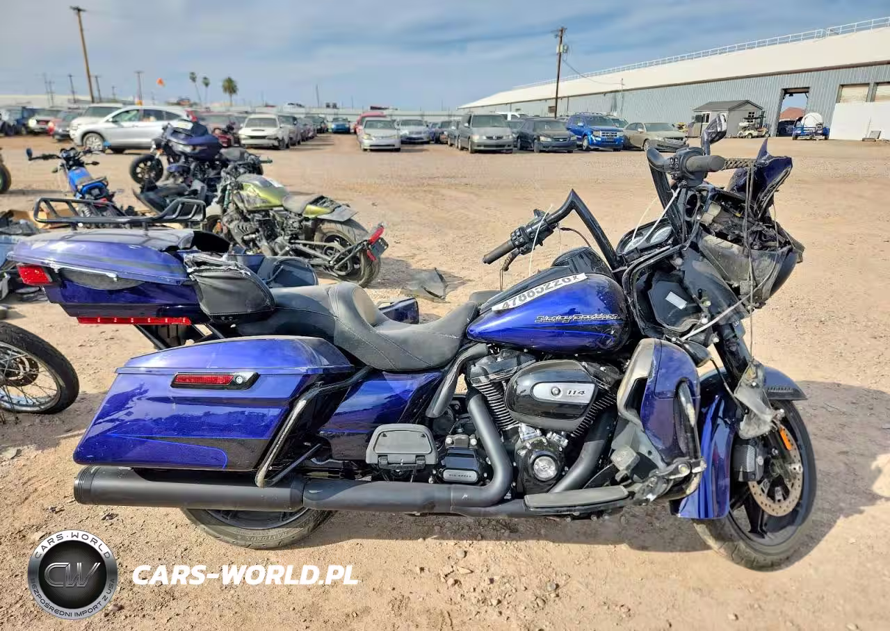 2020 Harley Davidson Fltrk