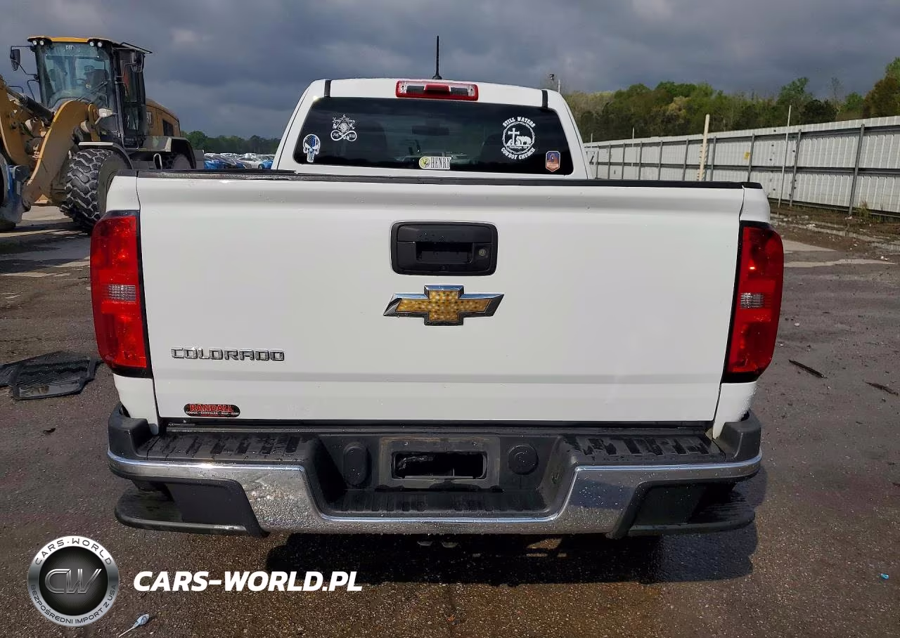 2019 Chevrolet Colorado VIN:1GCHSAEAXK1185286 - 6