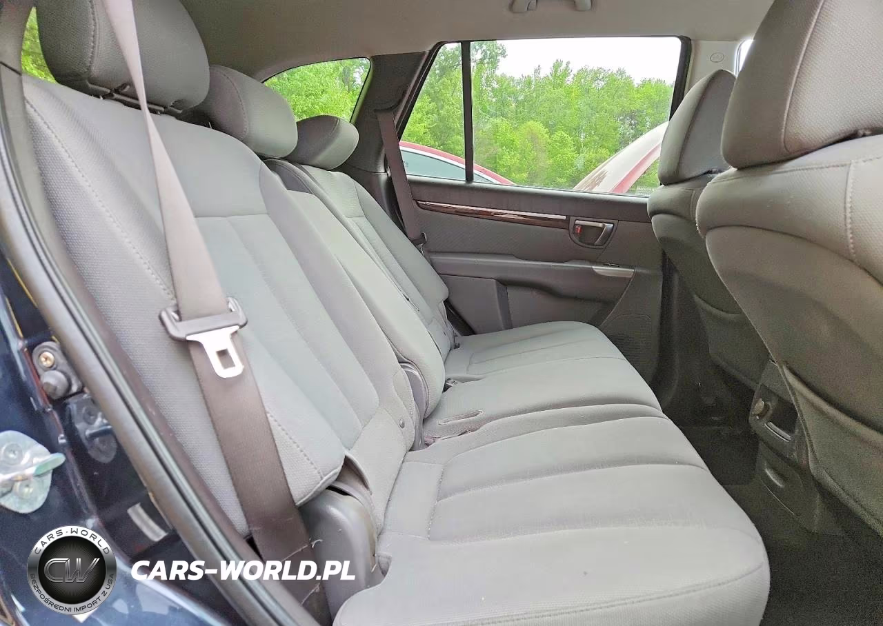 2010 Hyundai Santa Fe Gls VIN:5NMSGDAB4AH361180 - 11