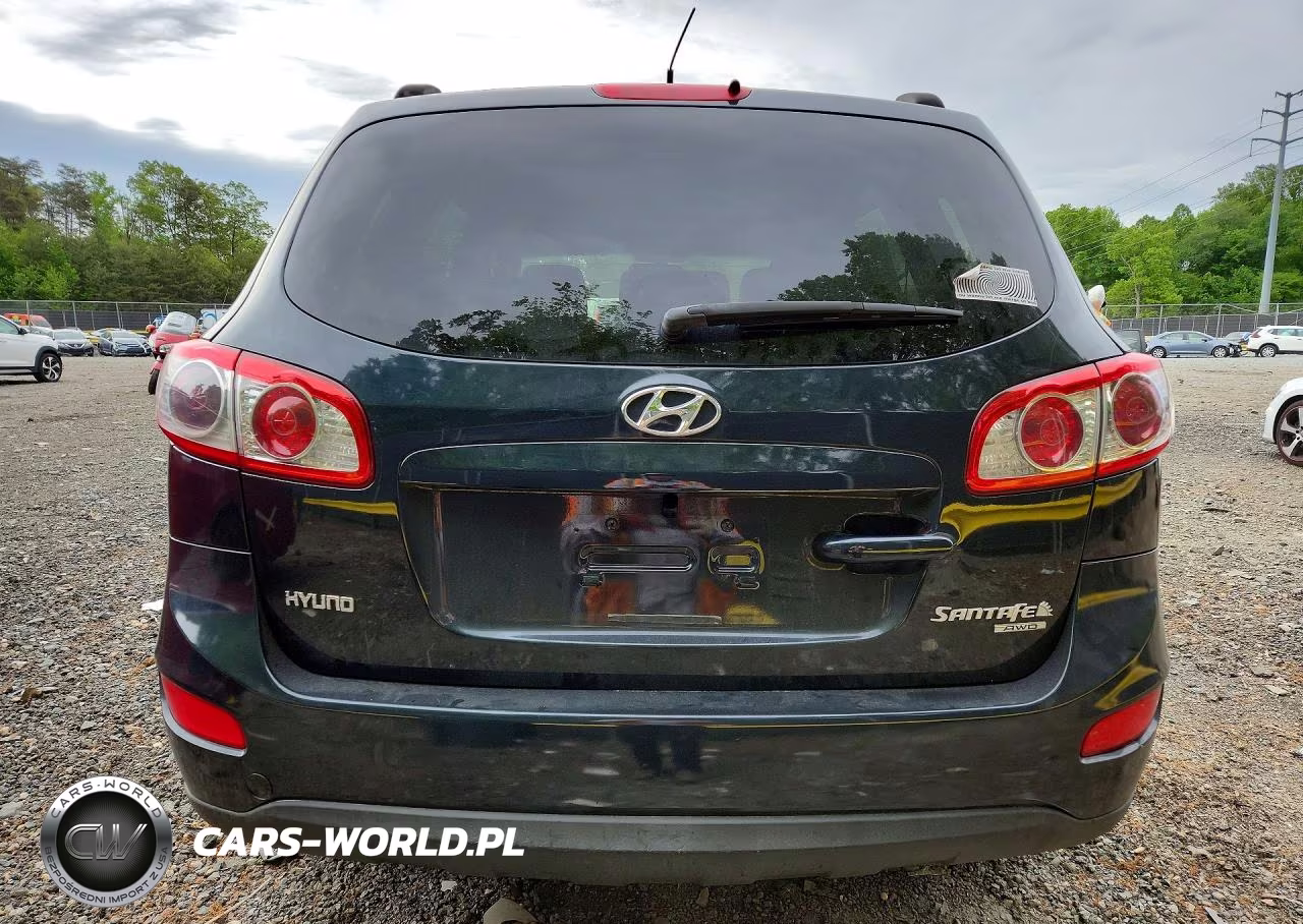 2010 Hyundai Santa Fe Gls VIN:5NMSGDAB4AH361180 - 6