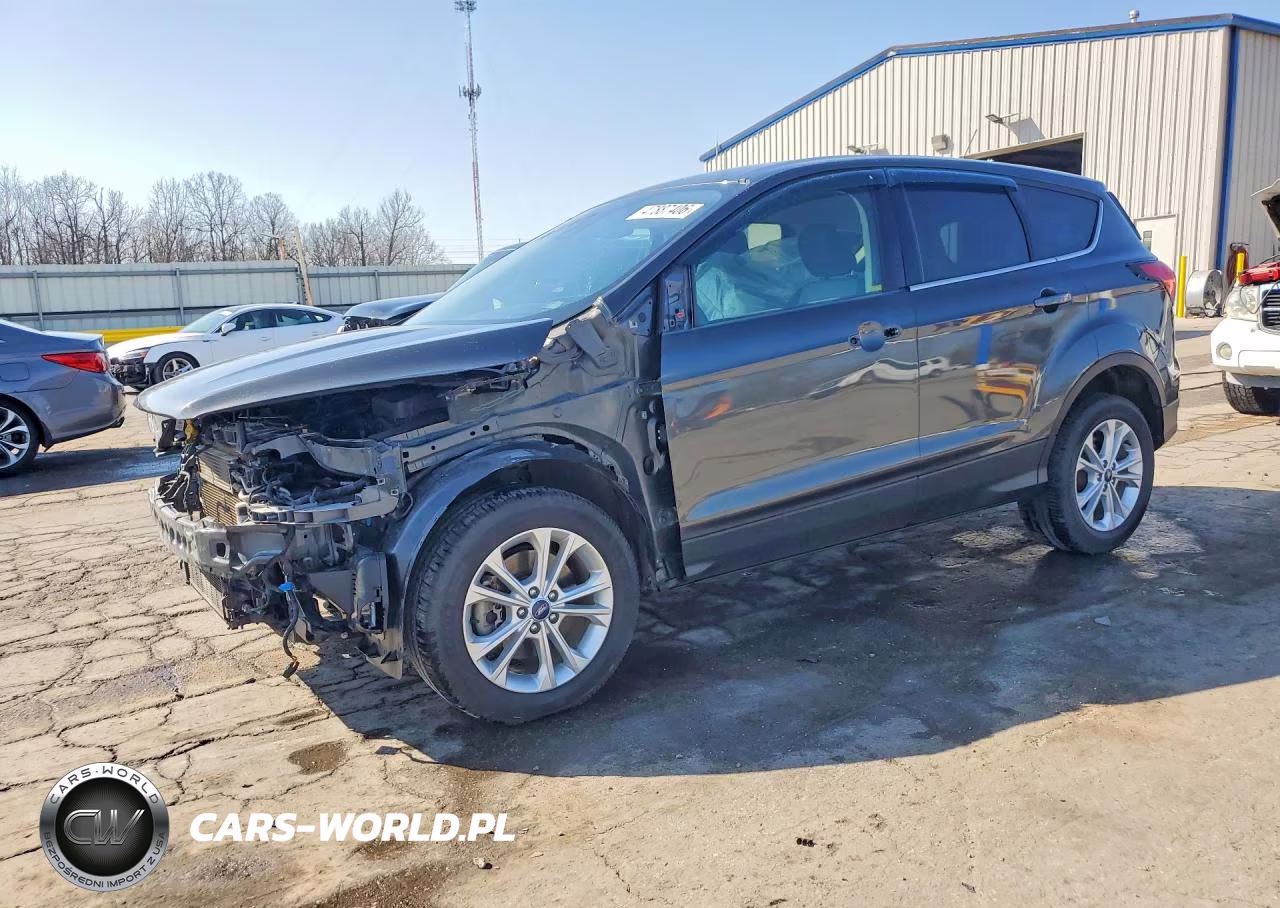 2019 Ford Escape Se
