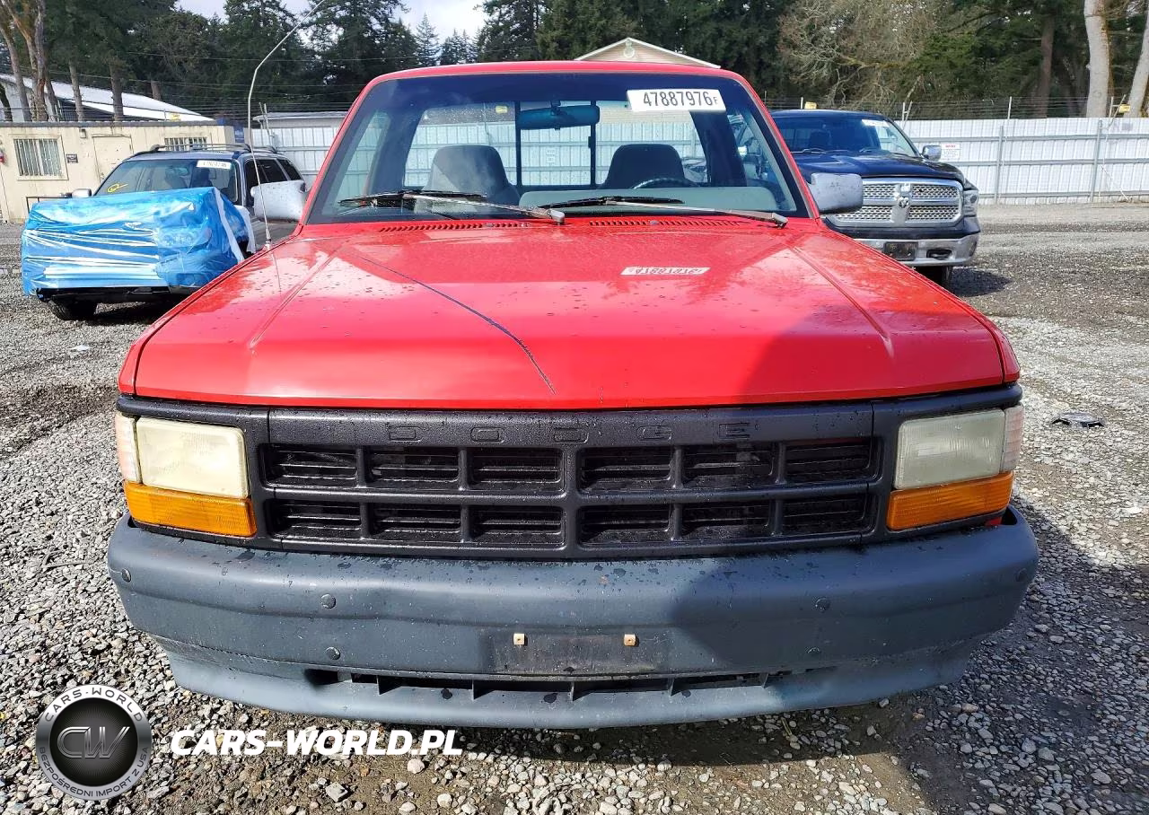 1995 Dodge Dakota VIN:1B7FL26X2SW934906 - 5