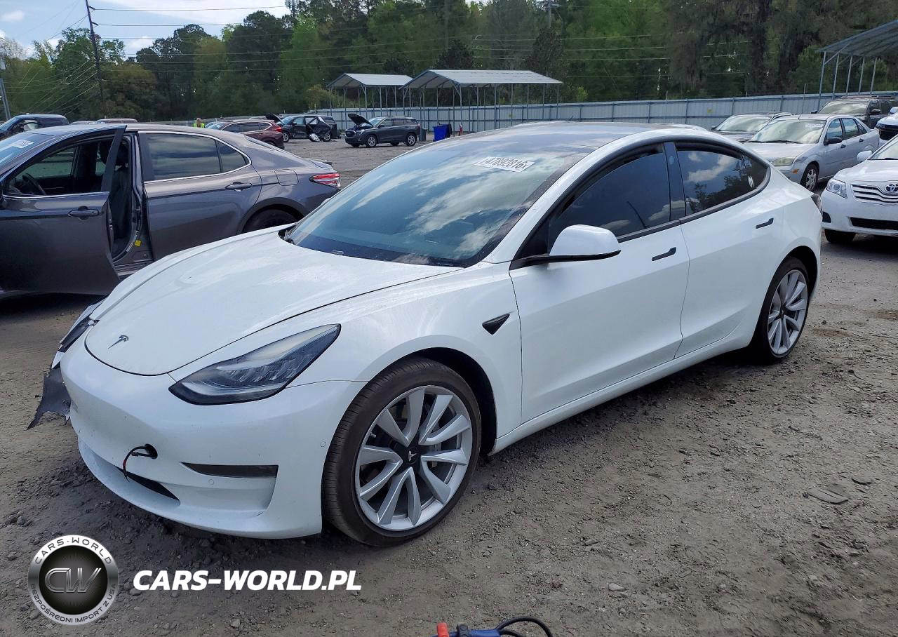 2019 Tesla Model 3