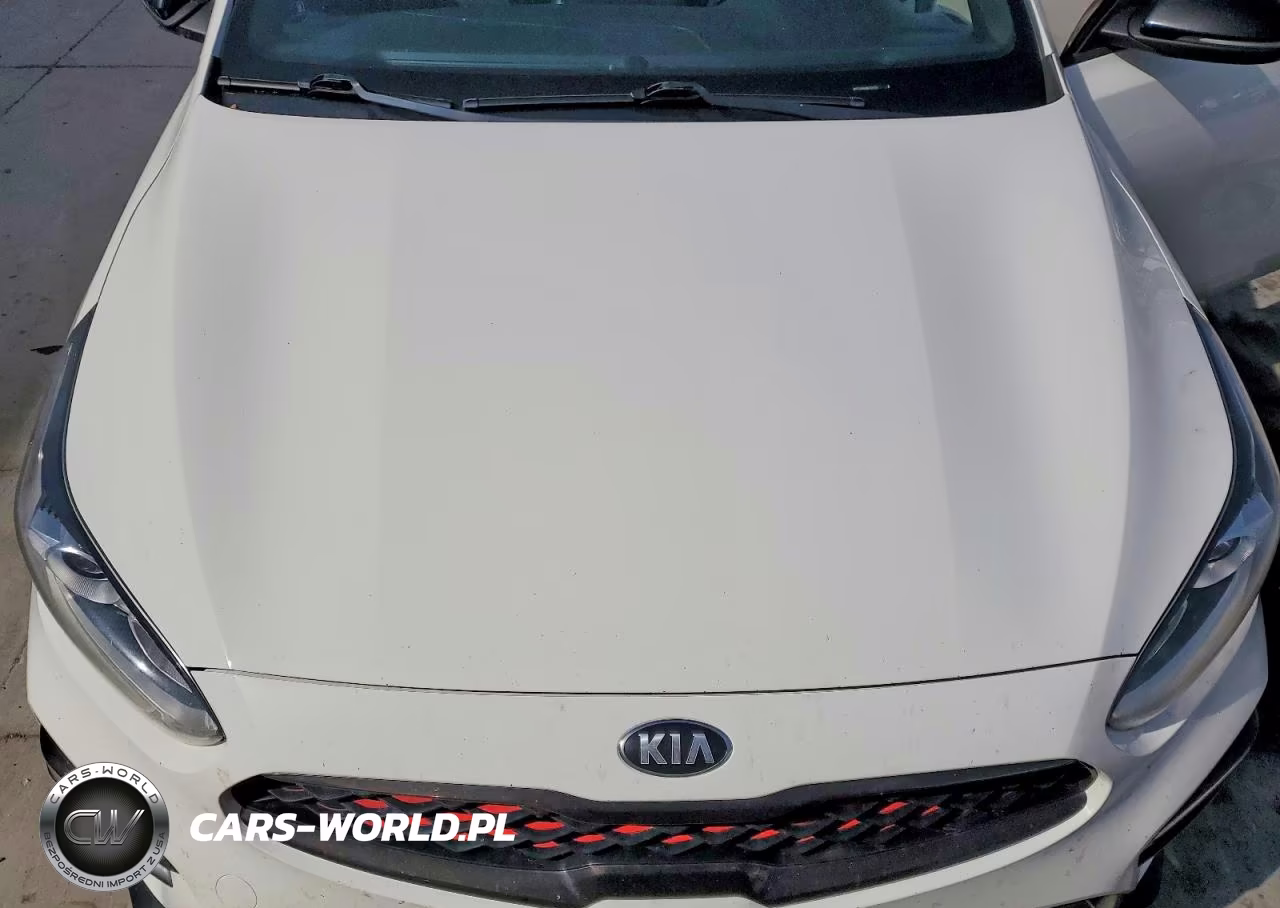 2021 Kia Forte Gt-Line VIN:3KPF34AD8ME264381 - 11