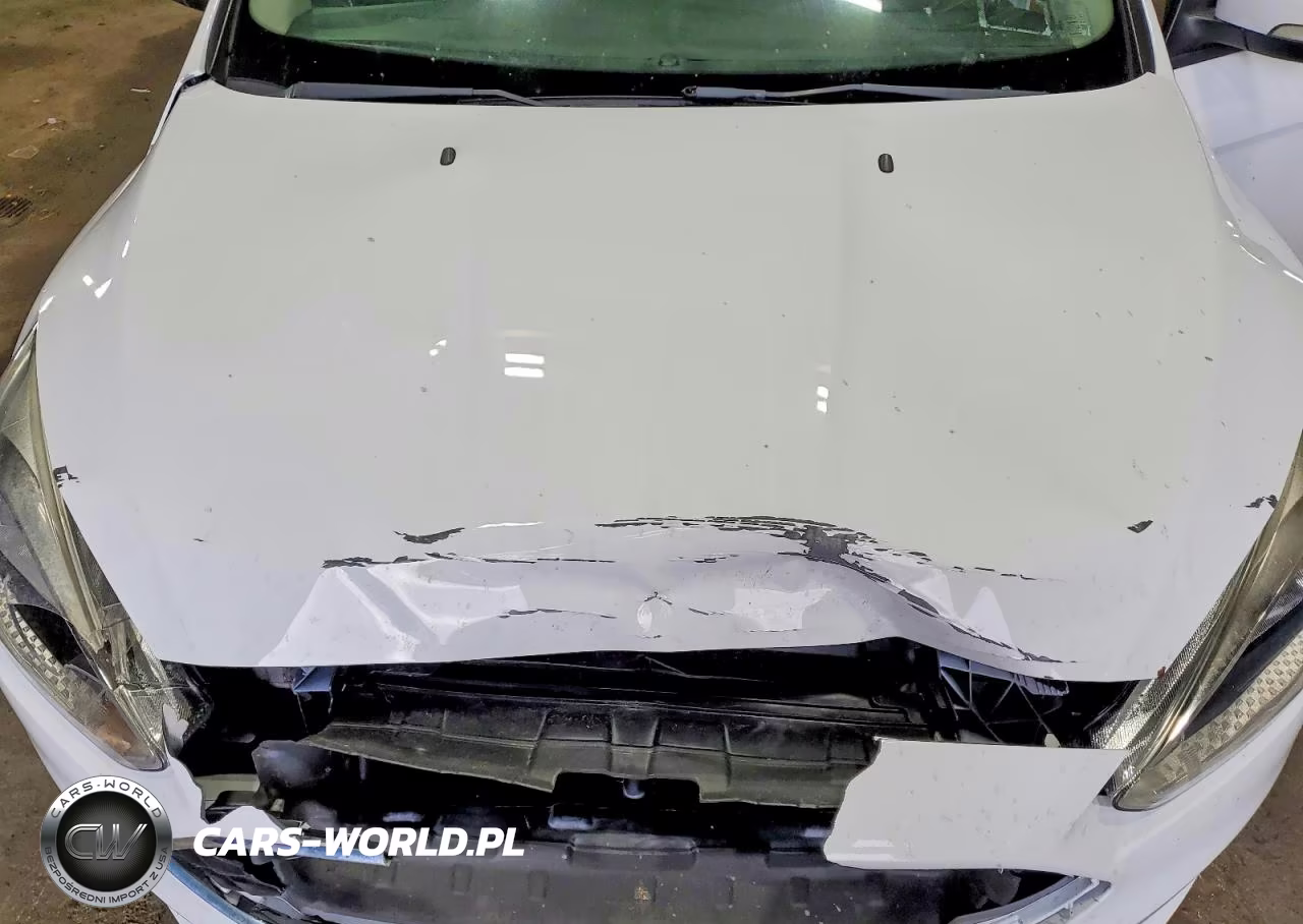 2018 Ford Focus Se VIN:1FADP3F22JL264219 - 11
