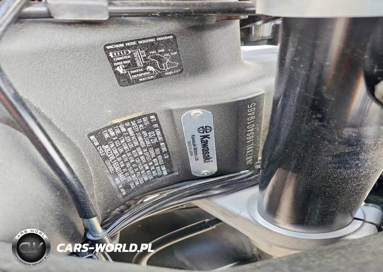 2025 Kawasaki Zx1002 L VIN:JKBZXVL16SA019465 - 9