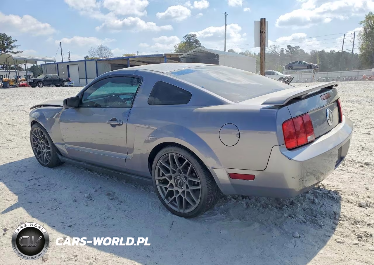 2006 Ford Mustang VIN:1ZVFT80N565211926 - 2