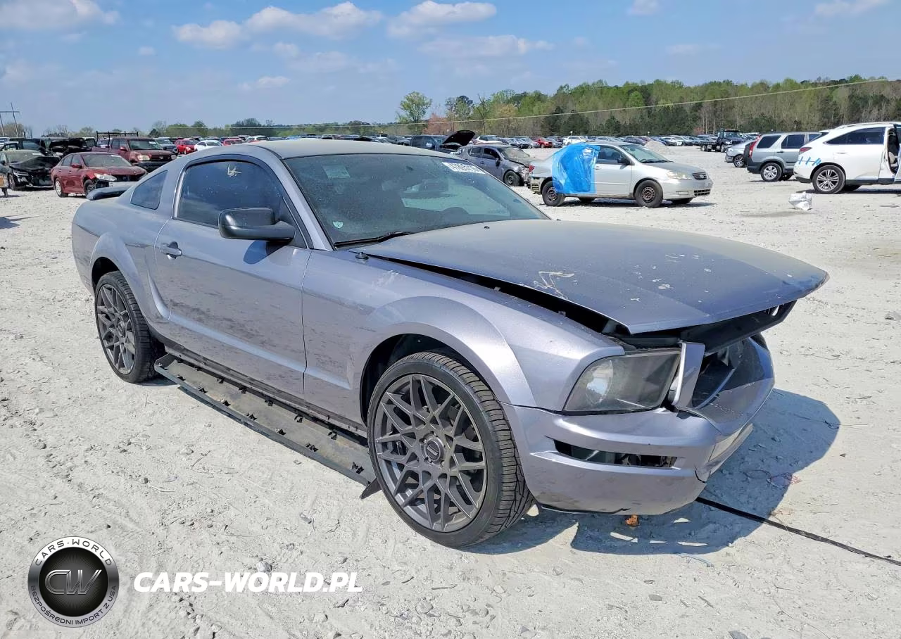 2006 Ford Mustang VIN:1ZVFT80N565211926 - 4