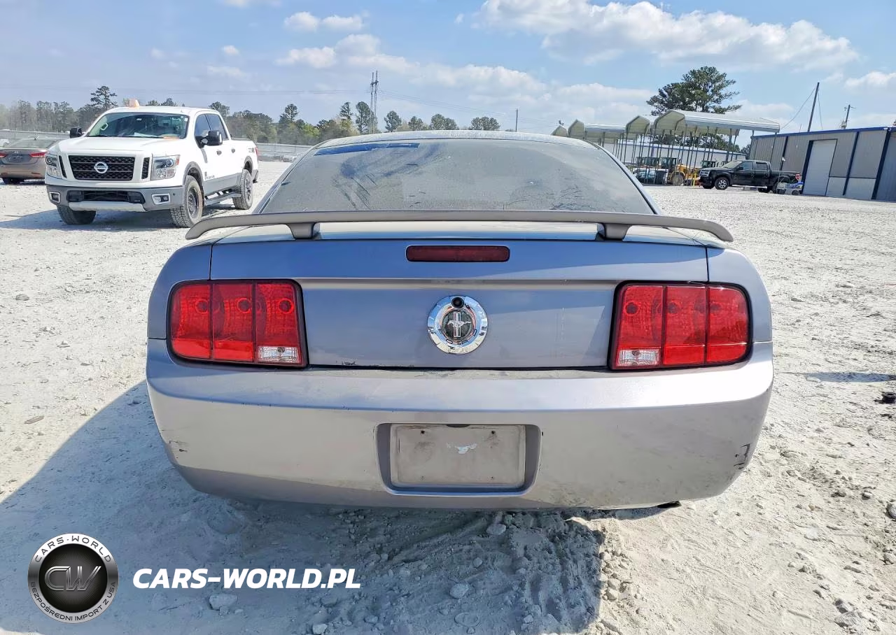 2006 Ford Mustang VIN:1ZVFT80N565211926 - 6