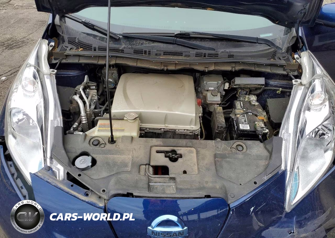 2016 Nissan Leaf Sv VIN:1N4BZ0CP6GC305556 - 11