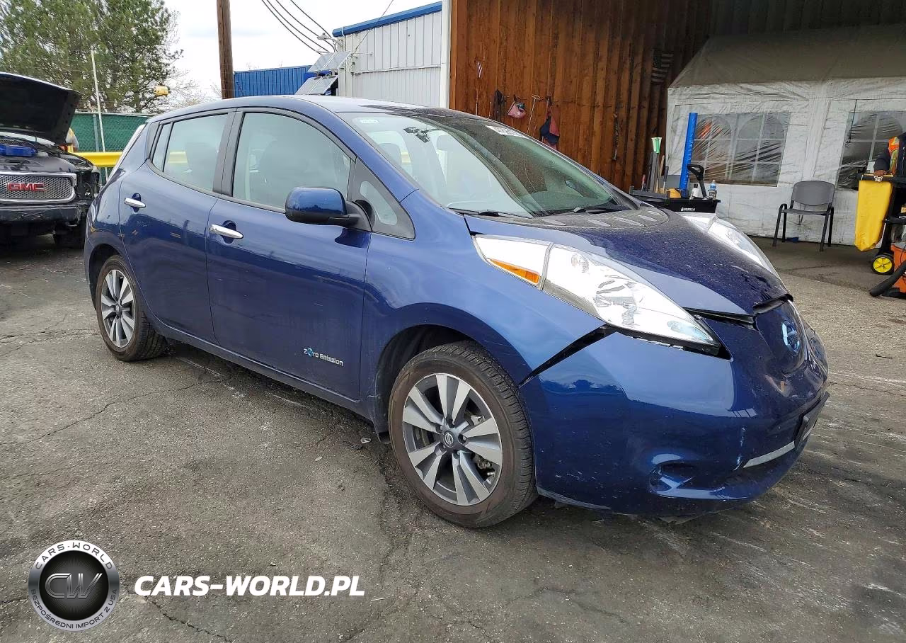 2016 Nissan Leaf Sv VIN:1N4BZ0CP6GC305556 - 4