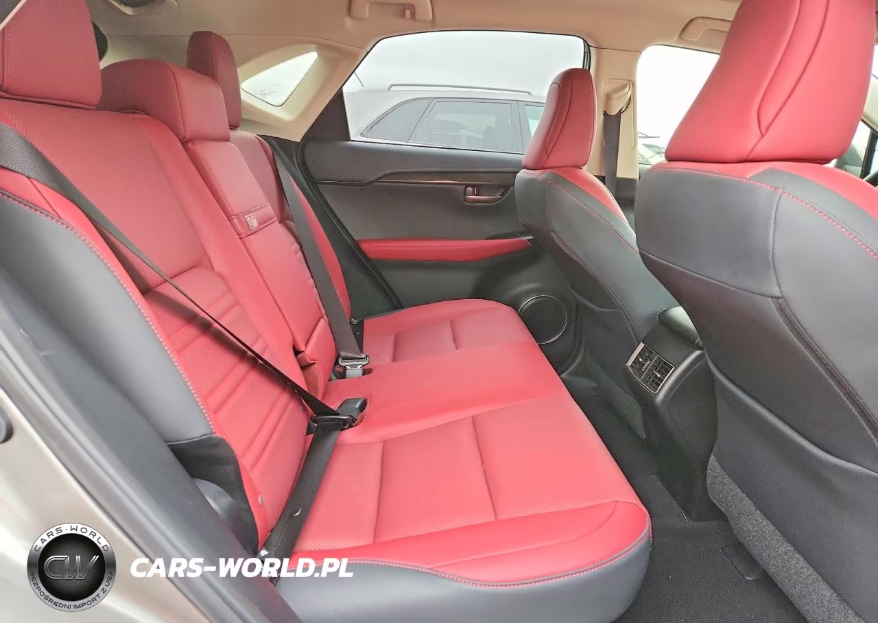 2021 Lexus Nx 300 Base VIN:JTJDARDZ6M2239667 - 10