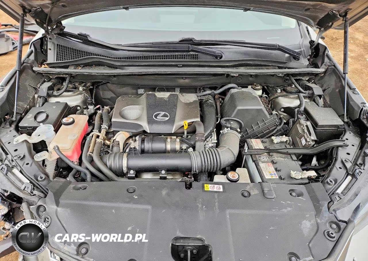 2021 Lexus Nx 300 Base VIN:JTJDARDZ6M2239667 - 11