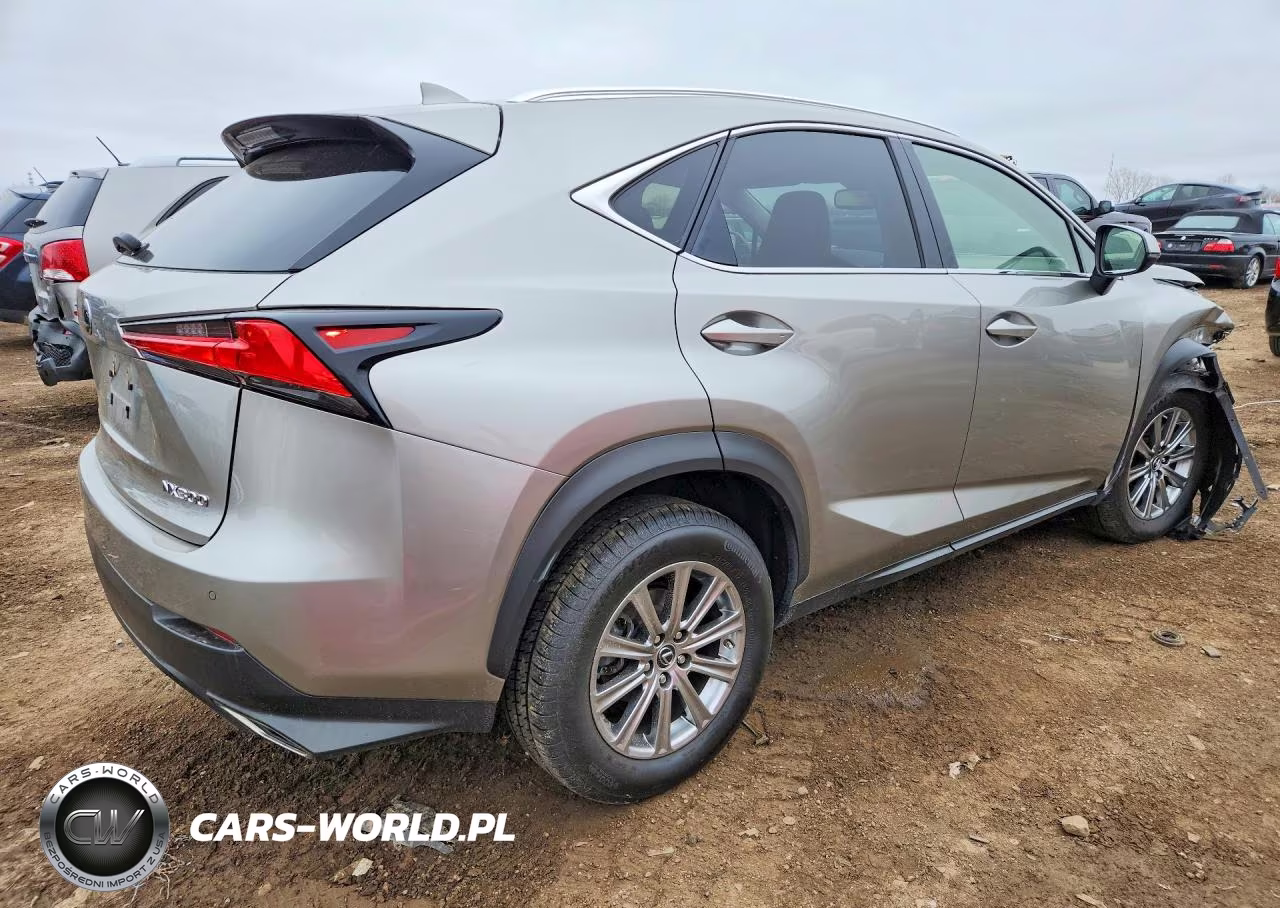 2021 Lexus Nx 300 Base VIN:JTJDARDZ6M2239667 - 3