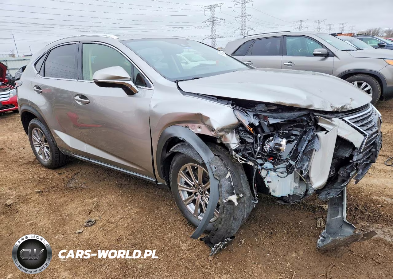 2021 Lexus Nx 300 Base VIN:JTJDARDZ6M2239667 - 4