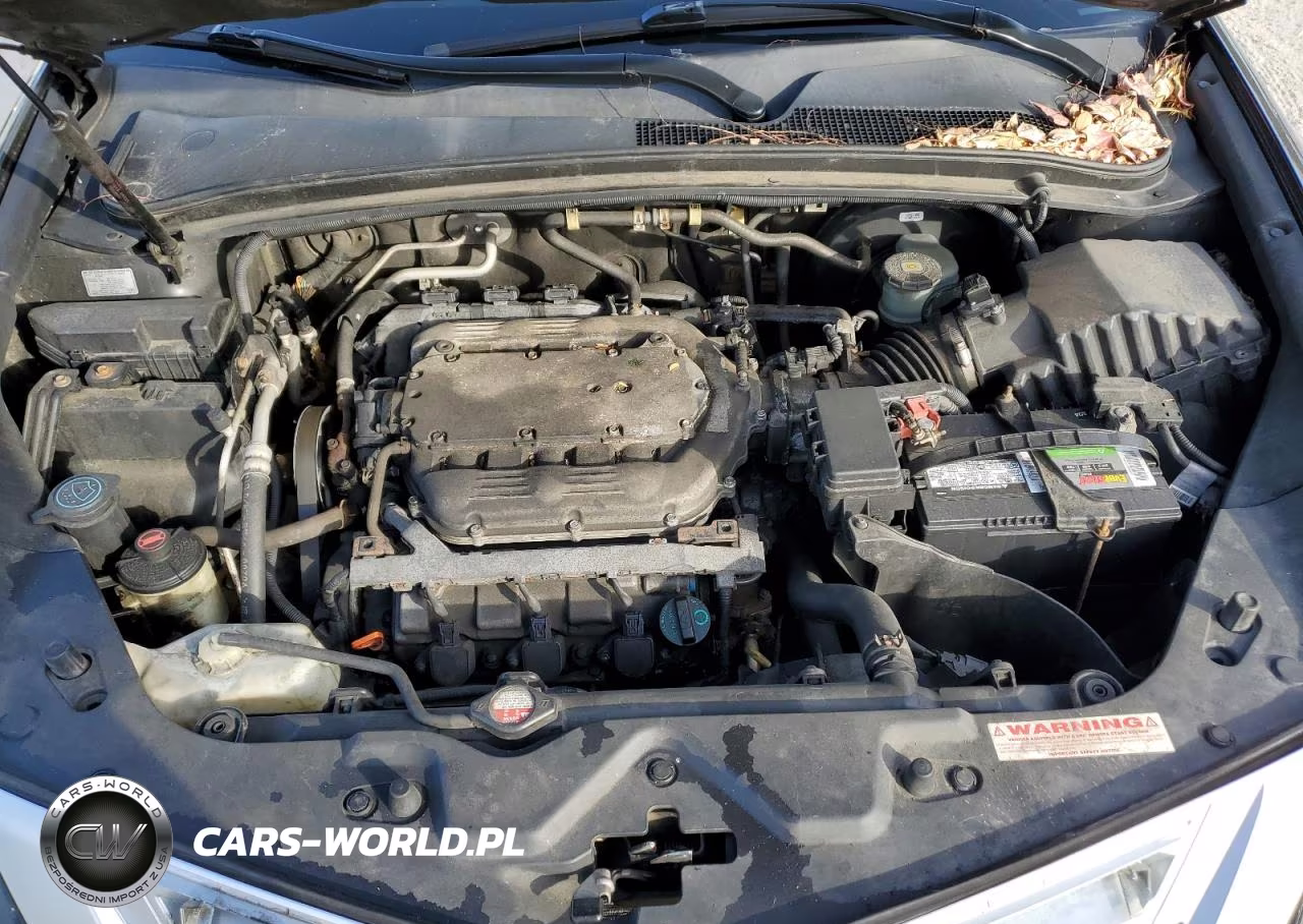 2010 Acura Zdx Technology VIN:2HNYB1H42AH502204 - 11