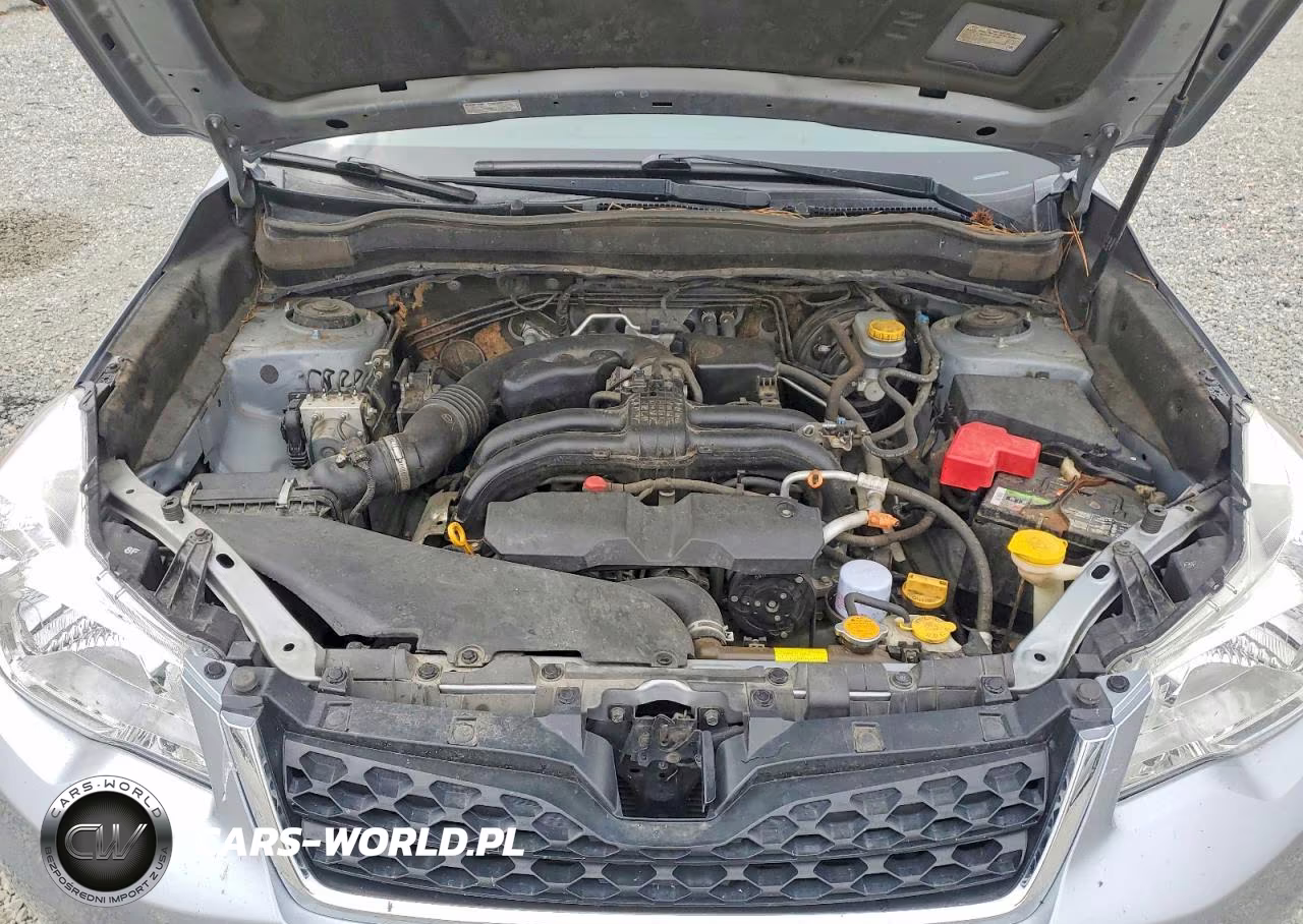 2016 Subaru Forester 2.5I VIN:JF2SJABC7GH455556 - 12