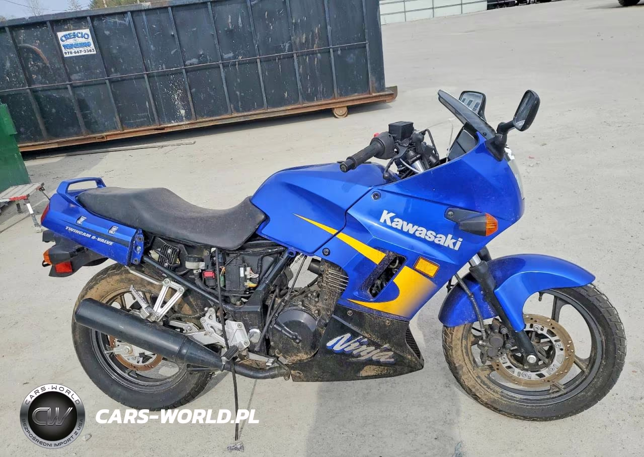 2003 Kawasaki Ex250 F – zdjęcie 1 z 9