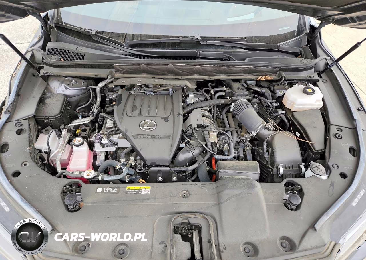 2023 Lexus Rx 500H F Sport Performance VIN:2T2BCMEA4PC002774 - 12