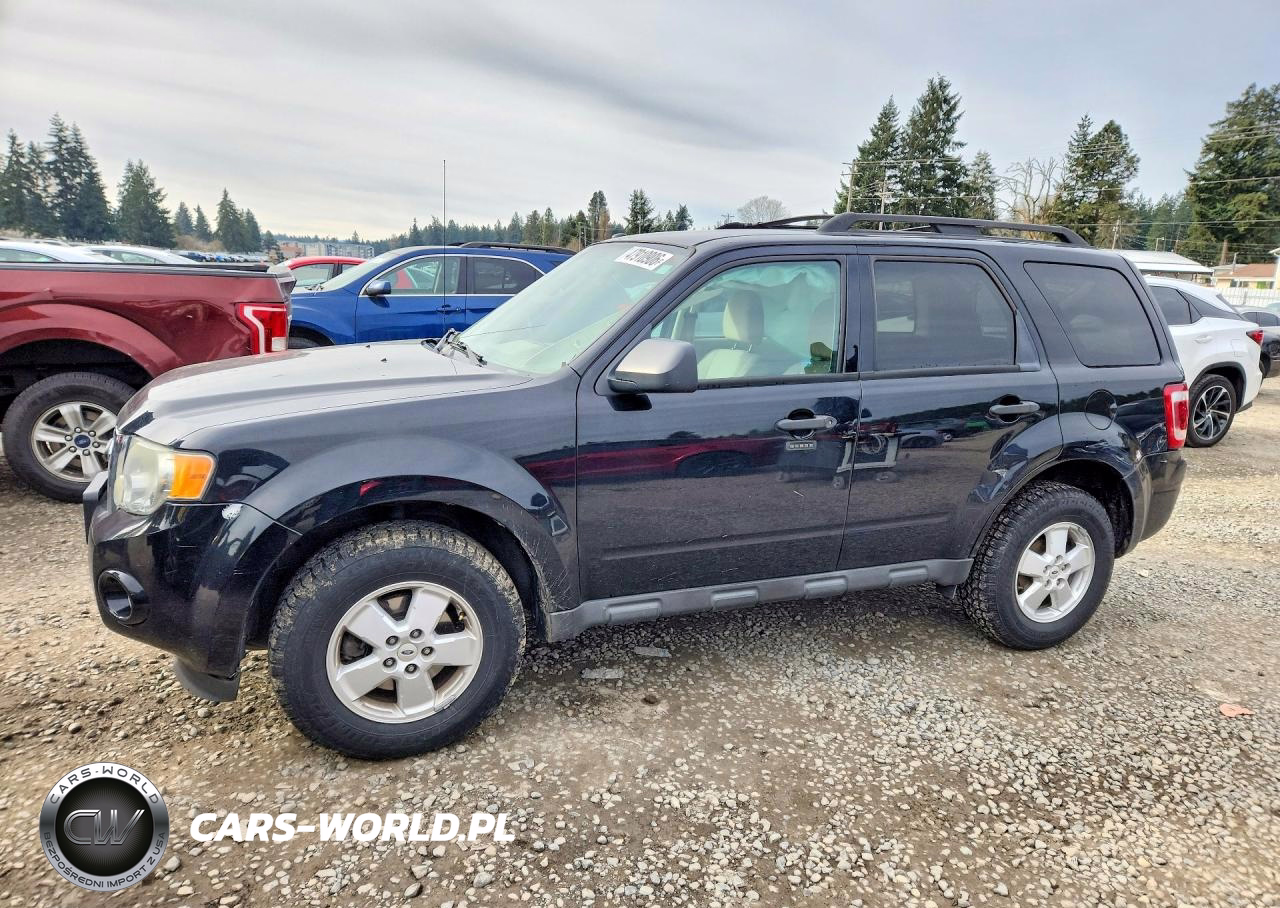2010 Ford Escape Xlt