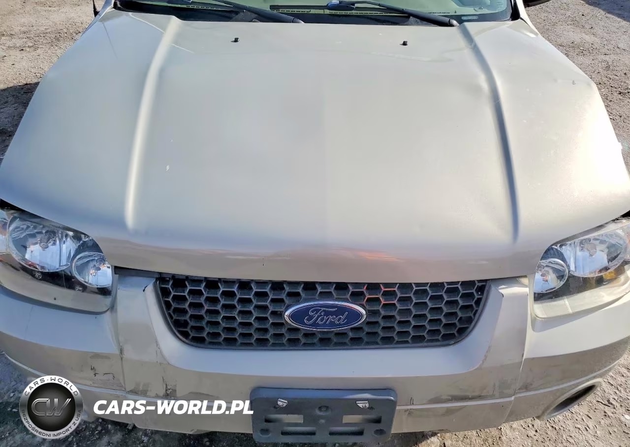 2005 Ford Escape Limited VIN:1FMYU04105KE02117 - 12