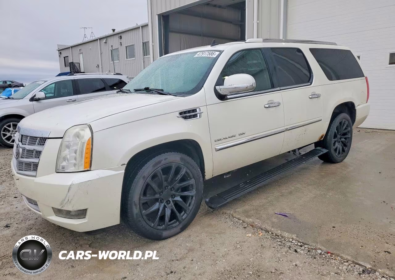 2010 Cadillac Escalade Esv Platinum