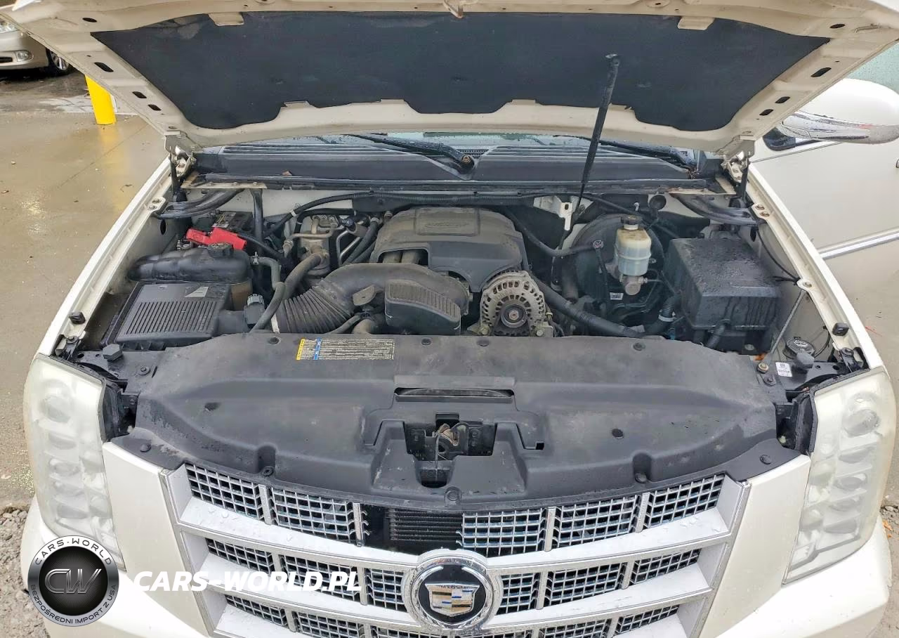 2010 Cadillac Escalade Esv Platinum VIN:1GYUKKEF7AR289485 - 12