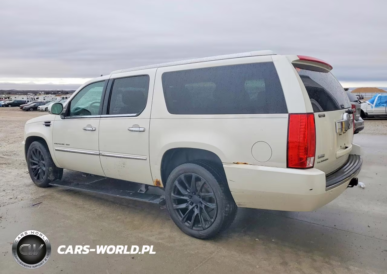 2010 Cadillac Escalade Esv Platinum VIN:1GYUKKEF7AR289485 - 2