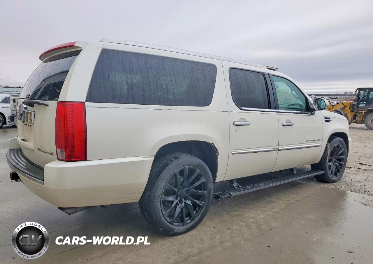 2010 Cadillac Escalade Esv Platinum VIN:1GYUKKEF7AR289485 - 3