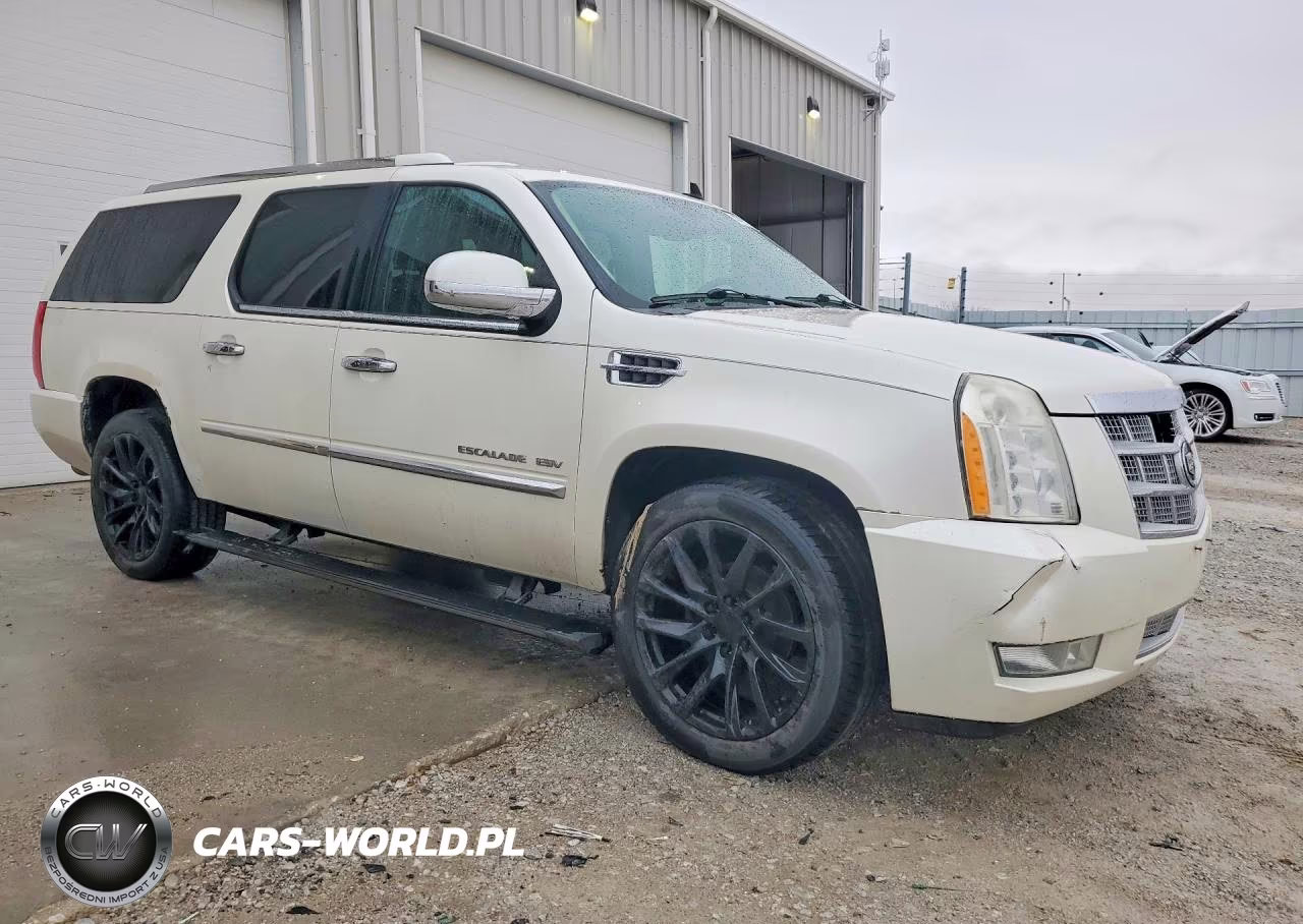 2010 Cadillac Escalade Esv Platinum VIN:1GYUKKEF7AR289485 - 4