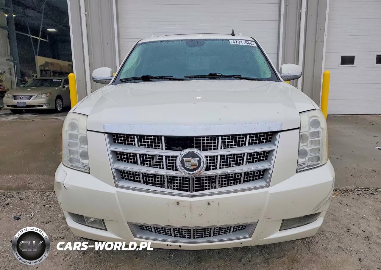 2010 Cadillac Escalade Esv Platinum VIN:1GYUKKEF7AR289485 - 5