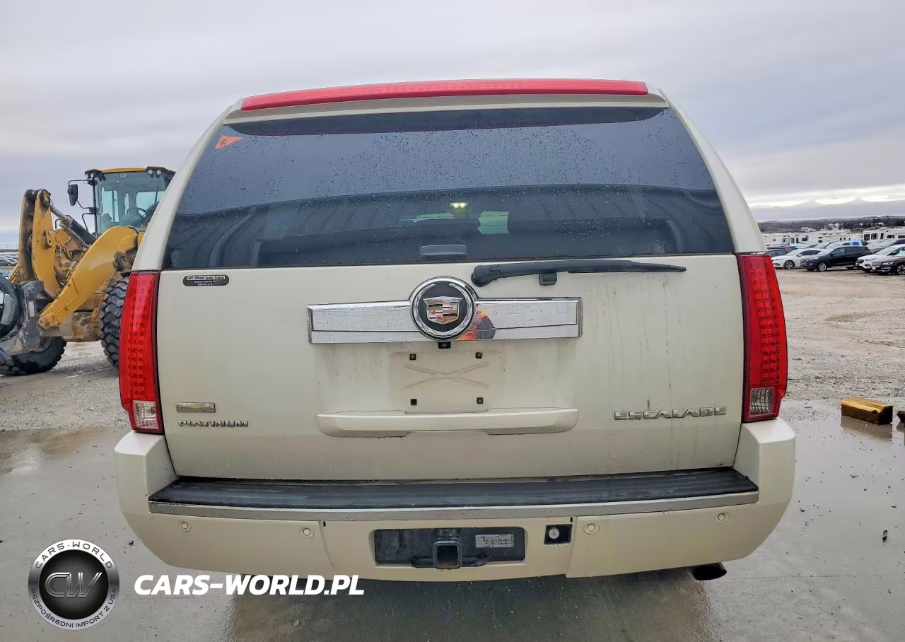 2010 Cadillac Escalade Esv Platinum VIN:1GYUKKEF7AR289485 - 6