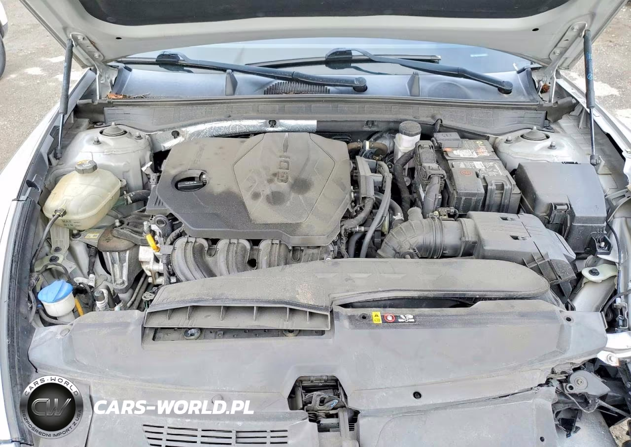 2020 Hyundai Sonata Se VIN:5NPEG4JAXLH011000 - 11