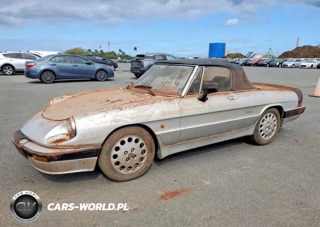 1988 Alfa Romeo Spider