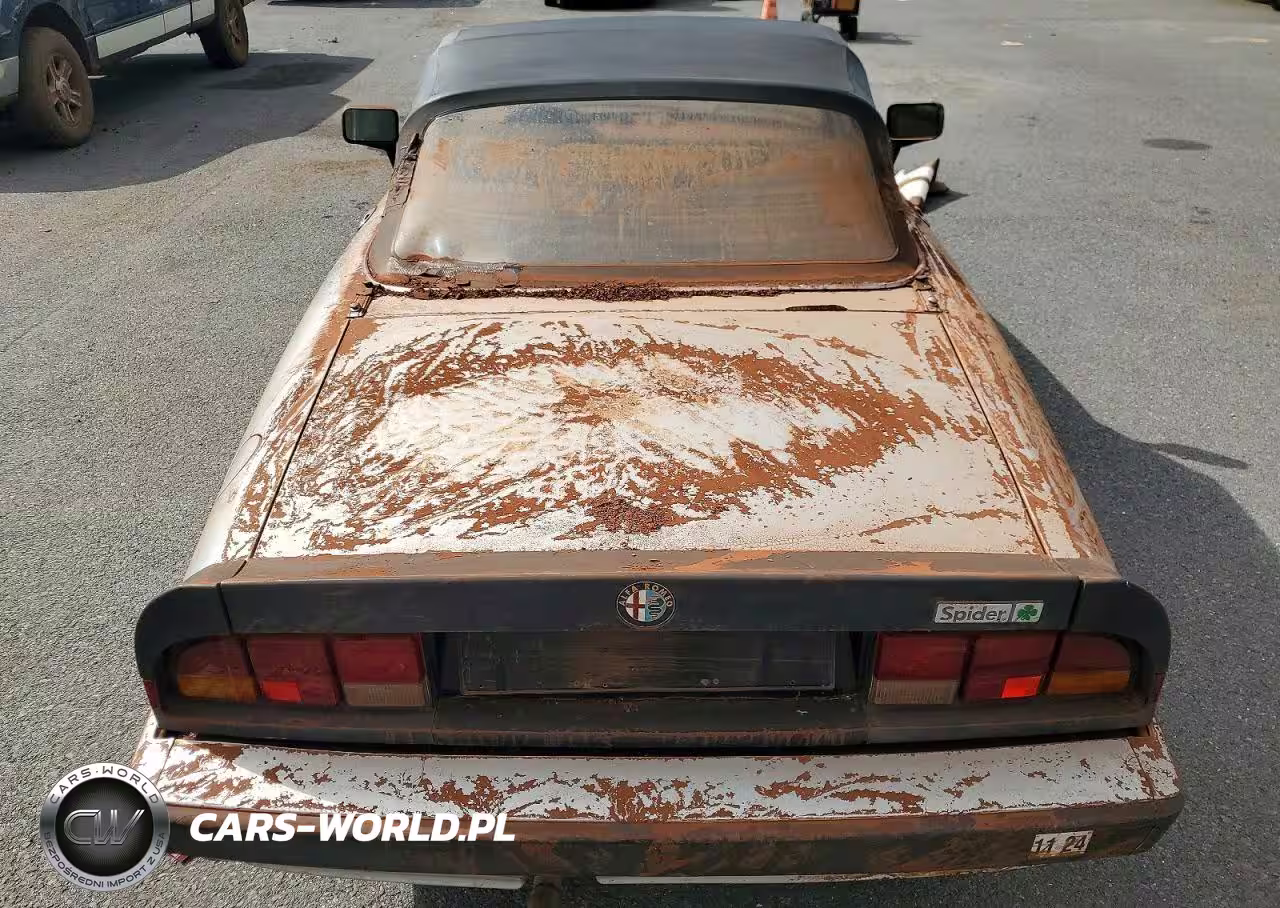1988 Alfa Romeo Spider VIN:ZAR11538002486455 - 10