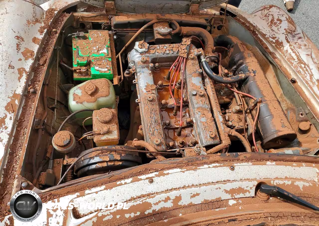 1988 Alfa Romeo Spider VIN:ZAR11538002486455 - 11