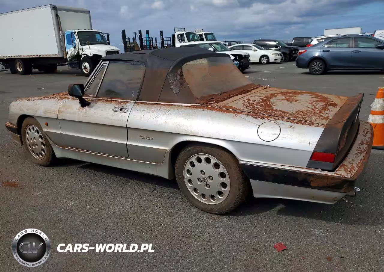 1988 Alfa Romeo Spider VIN:ZAR11538002486455 - 2